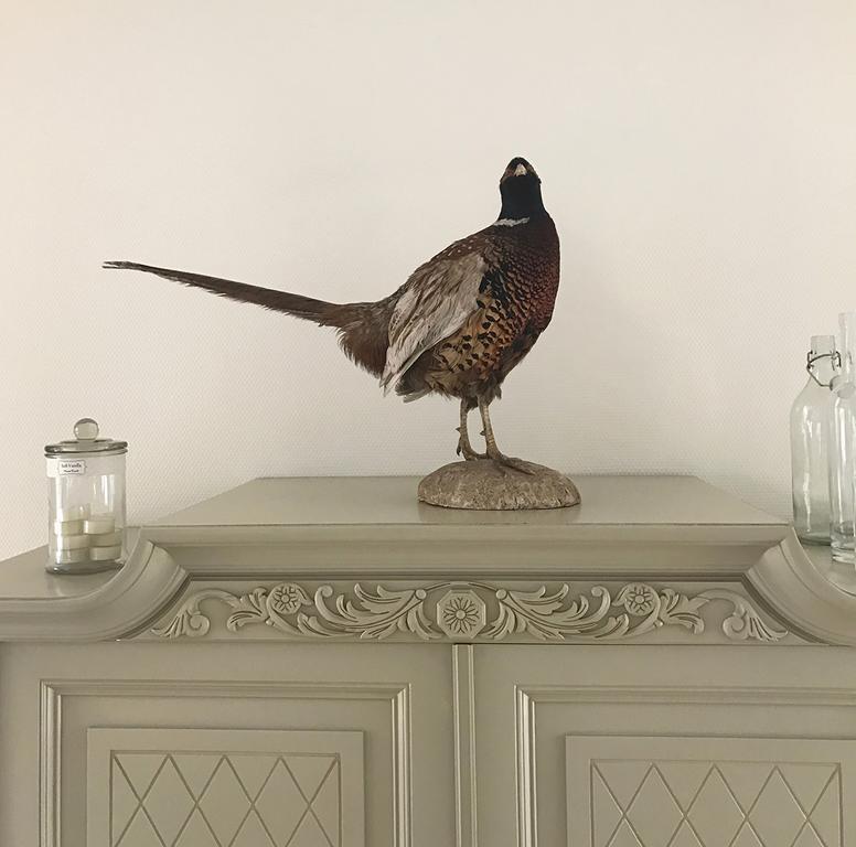 Vita Huset B&B Soelvesborg Eksteriør billede